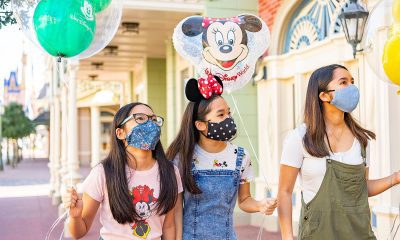 Disneyland mask update